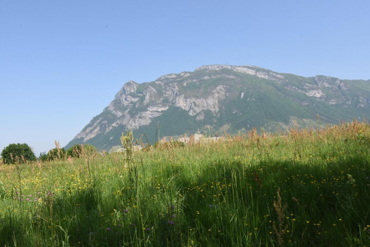 Gite Clair, Spacieux Et Cosy Avec Vue Sur Le Massif De La Chartreuse Sainte-Helene-du-Lac Exterior foto